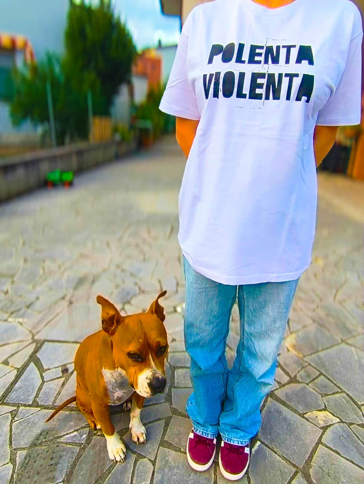 POLENTA VIOLENTA
